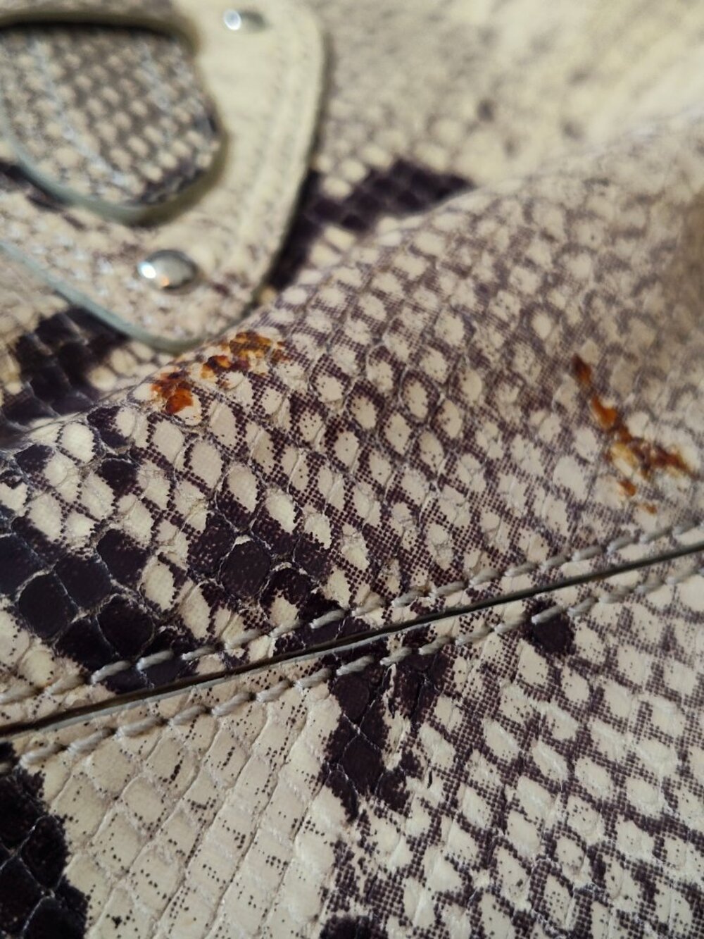 ColeHaan, Trinity Python, Shoulder Bag, Y2K, Spring 2005 - Picture 6 of 12